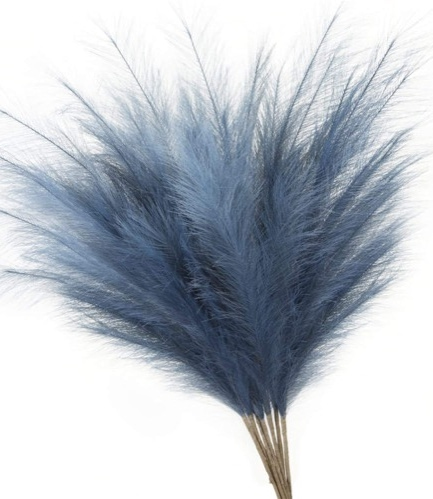 PLANTAS PAMPAS