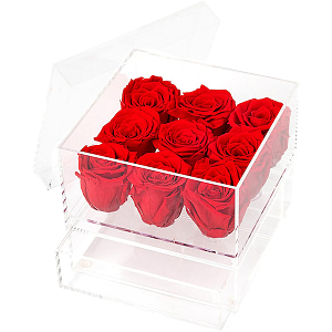 Caja con 9 Rosas Preservadas