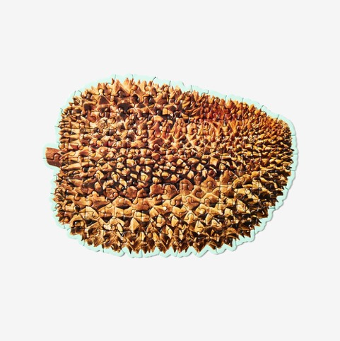 Rompecabezas Little Puzzle Thing: Durian